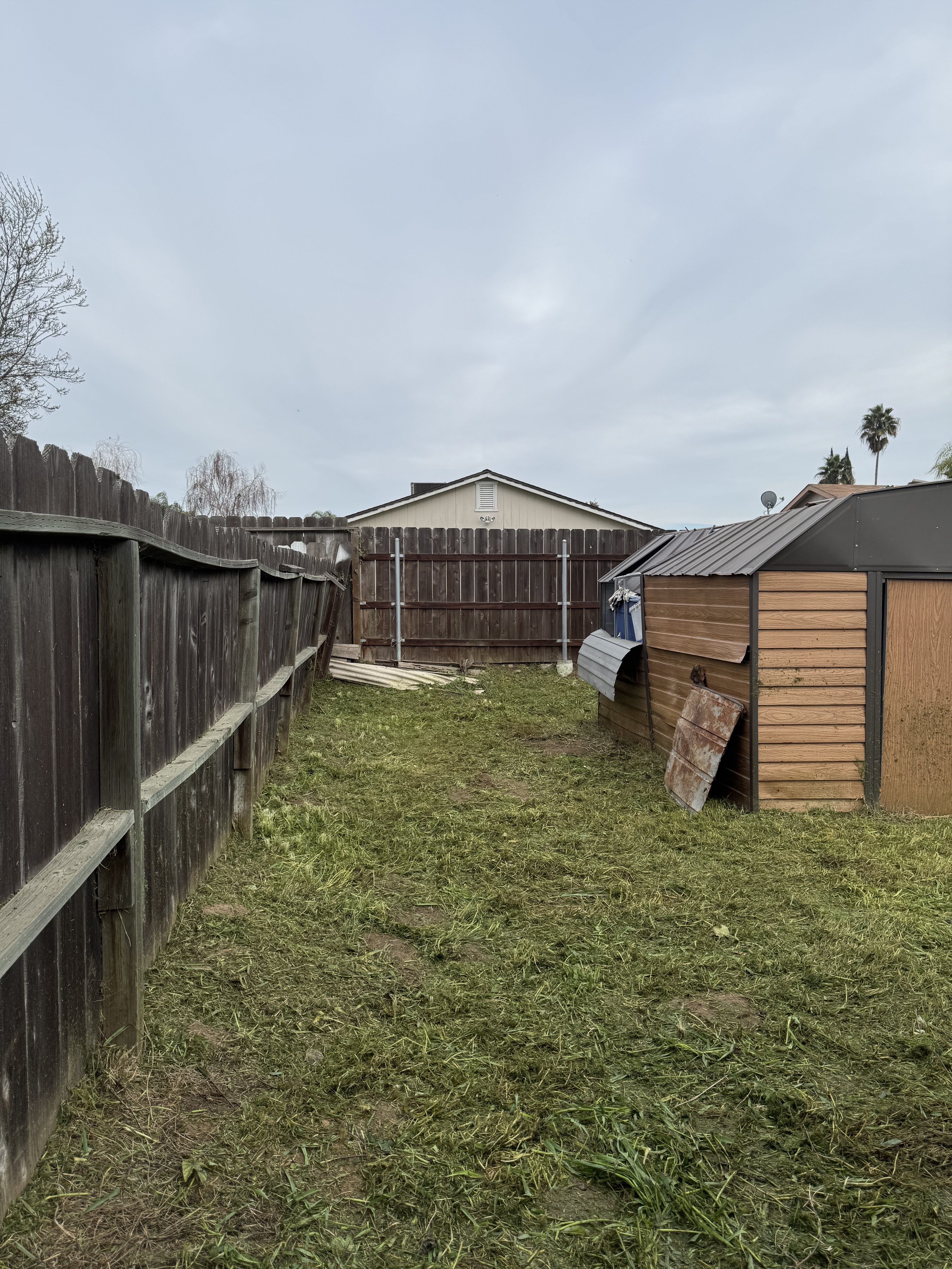 Cleared and mowed backyard after VerdePath service